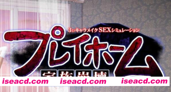 《家族崩坏：Playhome》[高端整合V9.0 豪华典藏中文版][PC游戏][VMD][24.2GB][M-2778]