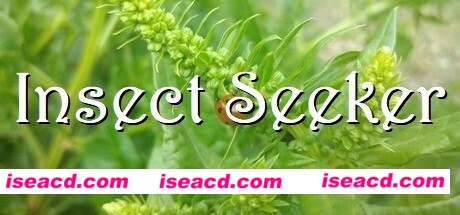 昆虫探寻者/Insect Seeker