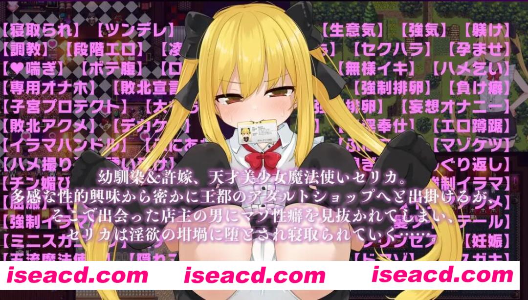 【日式RPG/AI汉化】魔法使塞丽卡～青梅竹马成为成人用品店专用NTR器械篇 AI汉化【2G/新作】