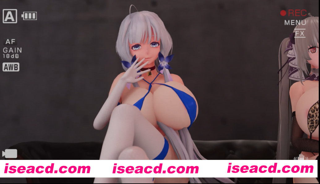 【3D同人/中文/全动态合集】qqmsnfx1：碧蓝航线舰娘秘密任务 + 人气投票现场[2V]【600M】