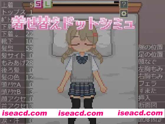 【日式SLG/汉化/像素风】换装点阵色色模拟  着せ替えドットシミュ 汉化版【300M/新作】