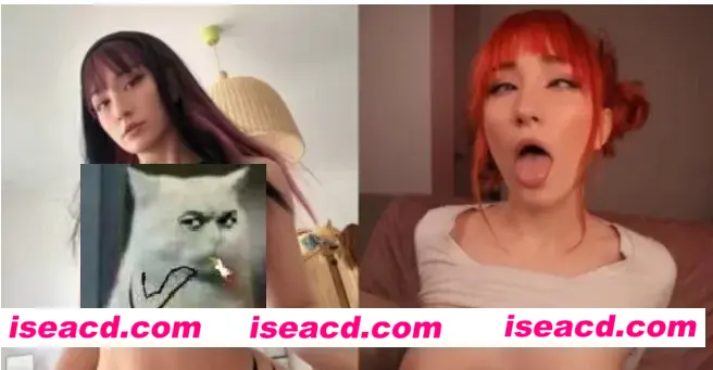 【COS/视频/合集】推特coser「Pufffypink」 onlyfans赞助作品合集 【5G】