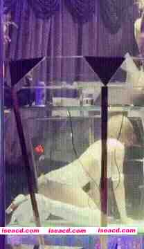 [视频/合集/步兵] 越南暗黑旅游行 KTV探店 1小时52分超全4K版 步兵 [18V] [10G]