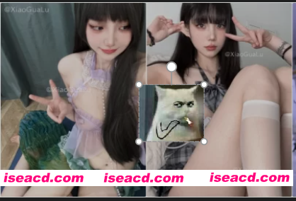 [视频/合集/步兵] 推特福利姬：小瓜陆 onlyfans赞助COS以及露出作品合集 [52V] [3.3G]