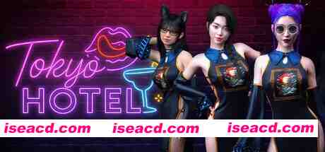 [亚洲风SLG/中文/3D步兵] 东京旅馆 TokyoHotel Ver1.00 官方中文步兵版 [2G/新作]