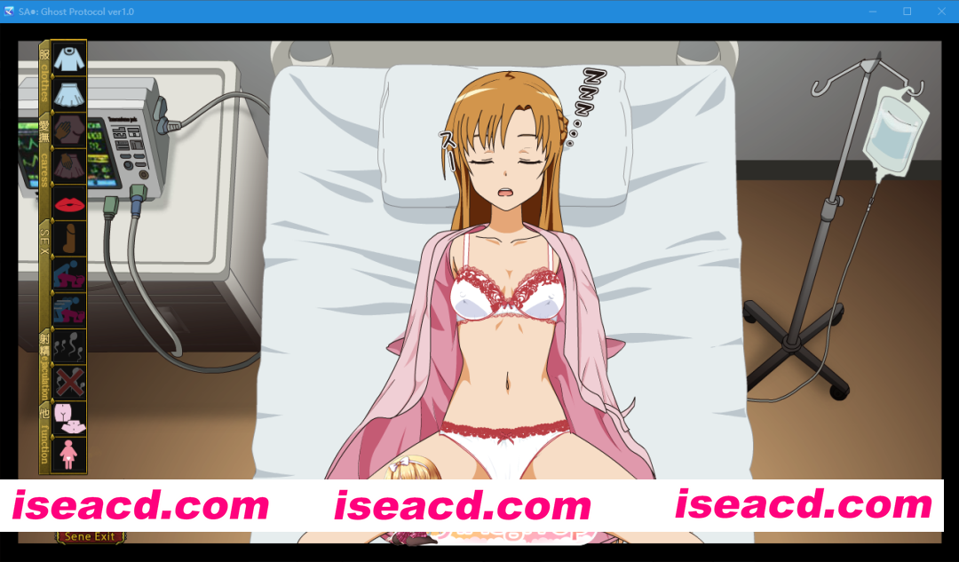 PC[NTL寝取RPG动态触摸睡奸战斗H]刀剑神域：幽灵协议 SAO~Ghost Protocol~AI汉化+全CG存档[1.6G]