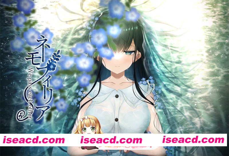 [ADV]  [微云/FM]喜林草 -我们擦肩而过-/ネモフィリア -We pass each other-/AI汉化+存档 pc [1.45G]